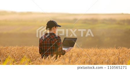 Woman farmer working with laptop on wheat field. Smart farming and digital agriculture 110565271