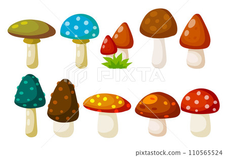Boletus edulis. Mushroom with a brown cap. Natural product from the forest. Eco-friendly food. Flat cartoon illustration 110565524