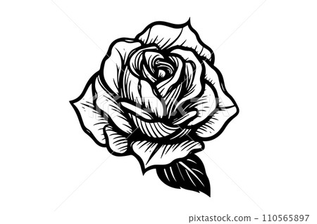 Rose flower hand drawn ink sketch. Engraving style vector illustration. 110565897