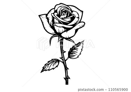 Rose flower hand drawn ink sketch. Engraving style vector illustration. Rose flower hand drawn ink sketch. Engraving style vector illustration. 110565900