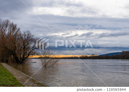 high water level in the river during a flood. trees in the water high water level in the river during a flood. trees in the water 110565944