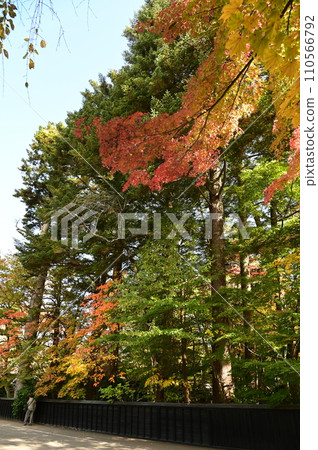 The autumn Kakunoda samurai house The autumn Kakunoda samurai house 110566792