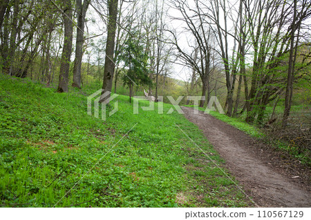 Country road. Eastern Europe wood. Country road. Eastern Europe wood. 110567129