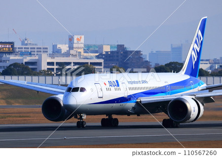 大阪國際機場全日空飛機降落空中公園 110567260