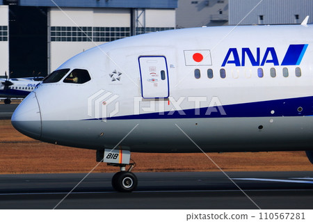 Osaka International Airport ANA Airplane Landing Sky Park Osaka International Airport ANA Airplane Landing Sky Park 110567281