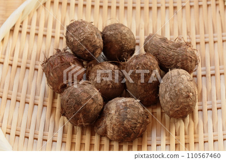 small taro 110567460