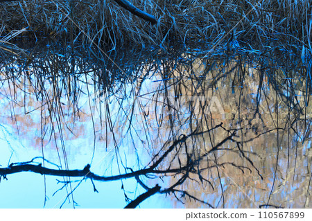 Mirror reflection of lakes, winter scenery by the water, nature observation Mirror reflection of lakes, winter scenery by the water, nature observation 110567899