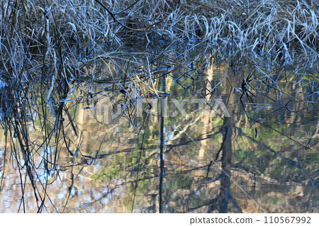 湖泊鏡面反射、水邊冬景、自然觀察 湖泊鏡面反射、水邊冬景、自然觀察 110567992
