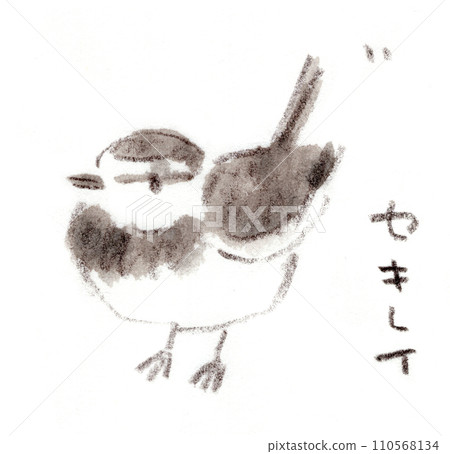 一種熟悉的野鳥,白鶺鴒的水彩插圖 一種熟悉的野鳥,白鶺鴒的水彩插圖 110568134
