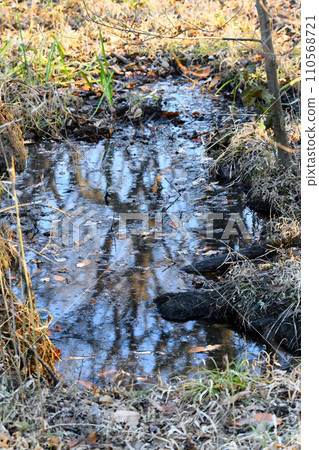 冬日水邊風光、濕地、自然觀察 110568721