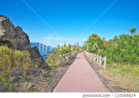 【櫻島熔岩渚散步道】鹿兒島縣鹿兒島市櫻島橫山町 110568824