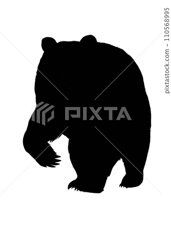 Brown bear silhouette illustration 110568995