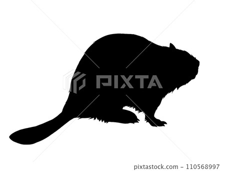 beaver silhouette illustration 110568997