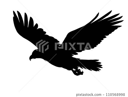 禿鷹剪影圖 禿鷹剪影圖 110568998