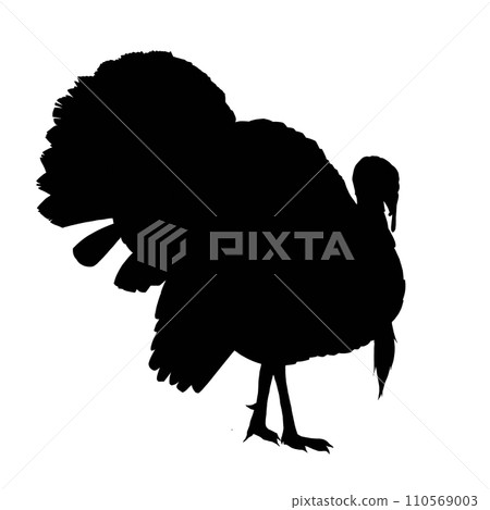 turkey silhouette illustration 110569003