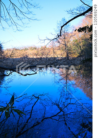湖泊鏡面反射、水邊冬景、自然觀察 110569249