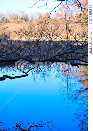 湖泊鏡面反射、水邊冬景、自然觀察 110569252
