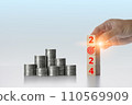 Expand business growth and investment, data analysis and forecast results to goals and results. 110569909