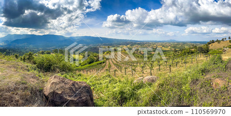 Wat Pa huay lad or Wat Pa Huai Lat Temple in Loei, Thailand Wat Pa huay lad or Wat Pa Huai Lat Temple in Loei, Thailand 110569970