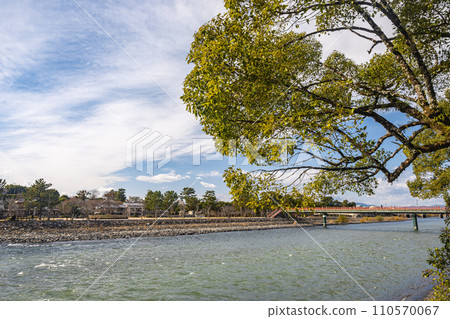 從宇治川右岸看到的宇治公園風景 110570067