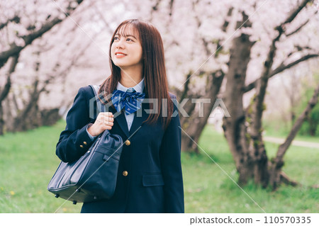 High school girl walking along the cherry blossom trees High school girl walking along the cherry blossom trees 110570335
