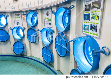 Busena Marine Park, Underwater Observation Tower, Nago City, Okinawa Prefecture Busena Marine Park, Underwater Observation Tower, Nago City, Okinawa Prefecture 110570485