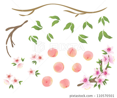 Watercolor style_peach illustration parts material Watercolor style_peach illustration parts material 110570501