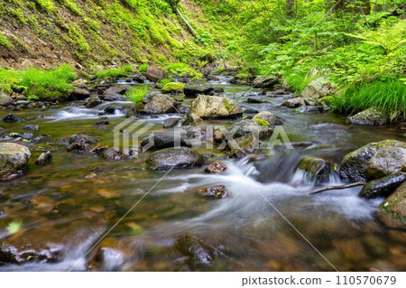 The flow of Mototaki Fushiryo and Mototaki River in early summer Nikaho City, Akita Prefecture 110570679