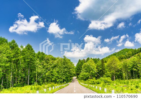 初夏萬代吾妻湖線，藍天和筆直的道路，福島縣豬苗代町 110570690