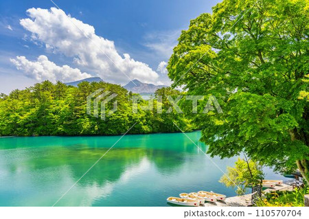 初夏的Bishamonnuma（Goshikinuma）風景福島縣北大原村的鮮綠色和湖面 110570704