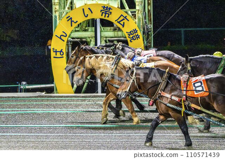 Night race banei horse racing Obihiro Racecourse 110571439