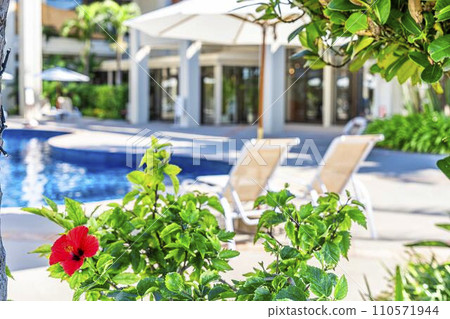 度假酒店池畔和芙蓉圖片沖繩縣名護市 110571944