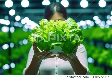 person holding lettuce during hydroponic farming person holding lettuce during hydroponic farming 110572094