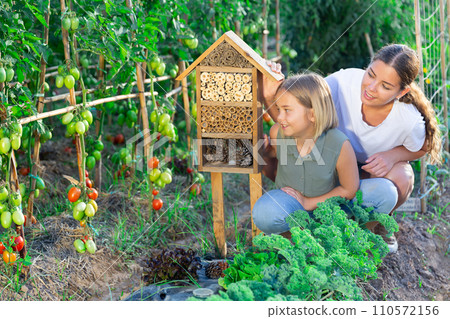 Mom shows her little daughter an insect hotel in form of birdhouse between tomato beds in garden Mom shows her little daughter an insect hotel in form of birdhouse between tomato beds in garden 110572156