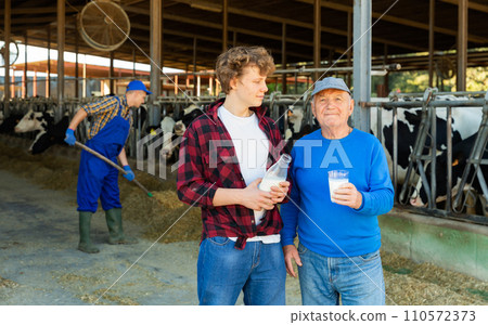 Milk farm workers in cowshed 110572373