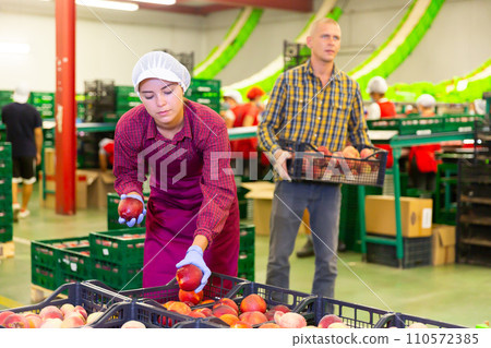 Man and young woman working in sorting room Man and young woman working in sorting room 110572385