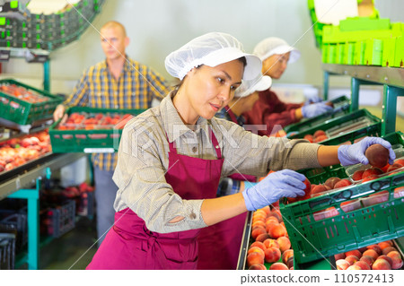 Female and male workers packaging peaches 110572413