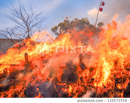 （靜岡縣）三島大社丼燒 110572558