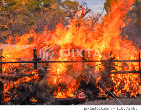 (Shizuoka Prefecture) Mishima Taisha Dondoyaki 110572563