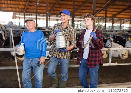 Three cheerful friendly livestock farm workers posing in cowshed 110572715