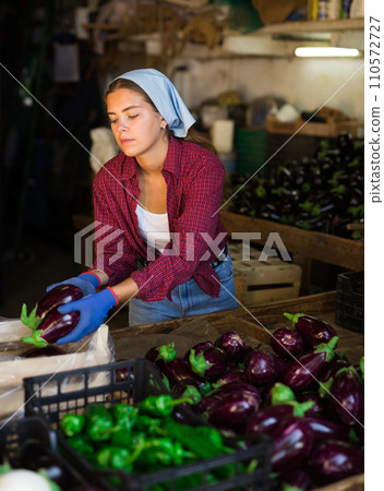 Young woman packing eggplants 110572727