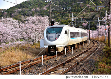 Limited Express Kuroshio running through Yamanaka-kei in Osaka Prefecture Limited Express Kuroshio running through Yamanaka-kei in Osaka Prefecture 110573144