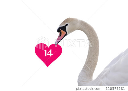white swans and pink hearts for valentine's day.AI generative 110573281