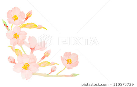 Frame material of cherry drawn with watercolor 110573729