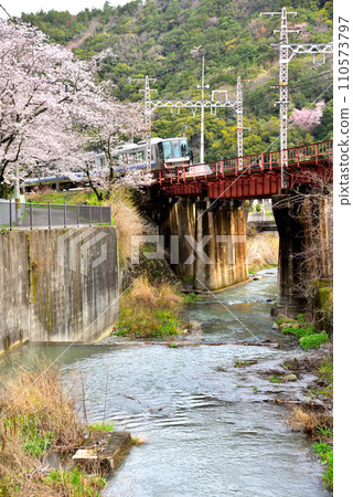 大阪府櫻花盛開和紀州寺急流 大阪府櫻花盛開和紀州寺急流 110573797