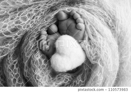 The tiny foot of a newborn baby. Soft feet of a new born in a wool blanket. Close up of toes, heels and feet of a newborn. Knitted heart in the legs of a baby. Black and white Macro photography.  110573983