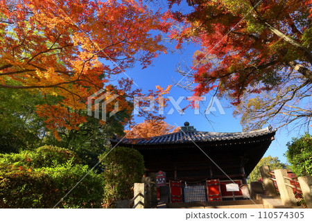 Kosenba-cho, Kawagoe City, Saitama Prefecture, Jigen-do Hall in the precincts of Kawagoe Daishi Kita-in Temple and the autumn leaves surrounding the maple leaves Kosenba-cho, Kawagoe City, Saitama Prefecture, Jigen-do Hall in the precincts of Kawagoe Daishi Kita-in Temple and the autumn leaves surrounding the maple leaves 110574305
