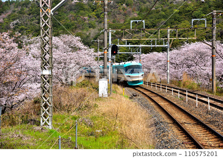 Ocean Arrow, a limited express train running through Yamanaka-kei in Osaka Prefecture 110575201