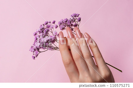 Female hands with pink nail design hold gypsophila flowers. Female hands with pink nail design hold gypsophila flowers. 110575271