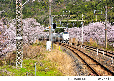 Limited Express Kuroshio running through Yamanaka-kei in Osaka Prefecture Limited Express Kuroshio running through Yamanaka-kei in Osaka Prefecture 110575312